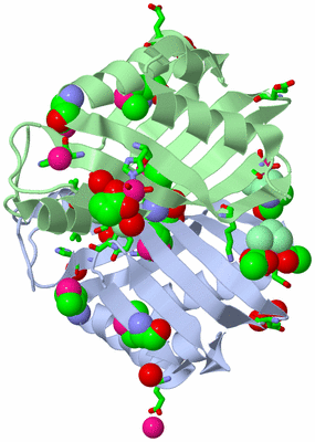 Image Asym./Biol. Unit - sites