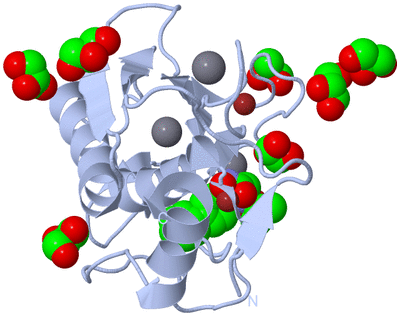 Image Biological Unit 1