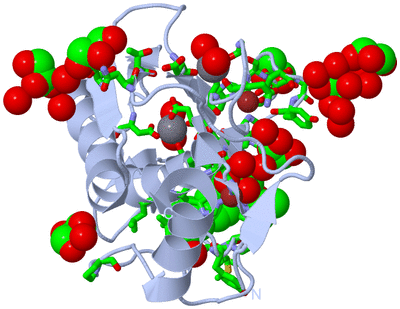 Image Biol. Unit 1 - sites