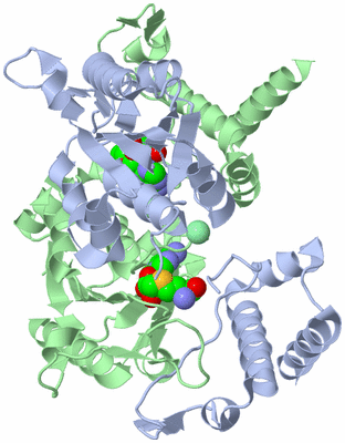 Image Asym./Biol. Unit