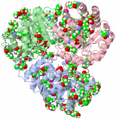 Image Asym./Biol. Unit - sites