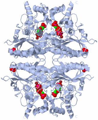 Image Biological Unit 1