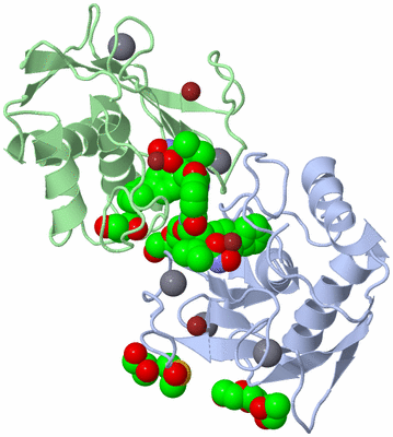 Image Biological Unit 1