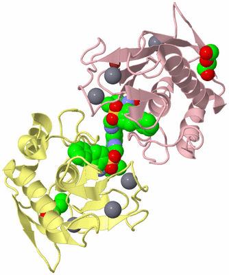 Image Biological Unit 2