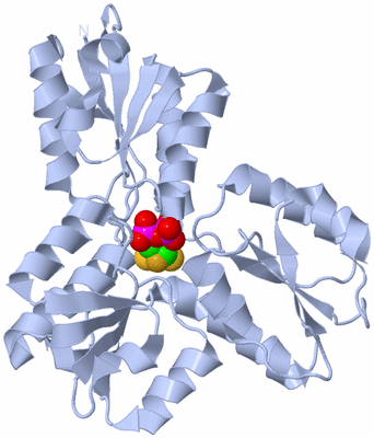 Image Biological Unit 1