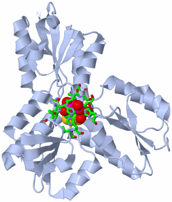 Image Biol. Unit 1 - sites