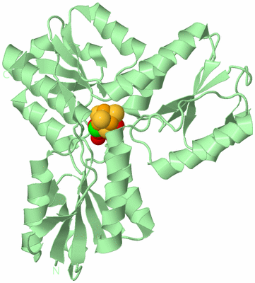 Image Biological Unit 2