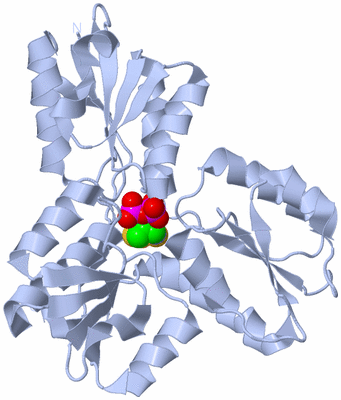 Image Biological Unit 1