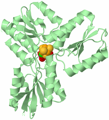 Image Biological Unit 2