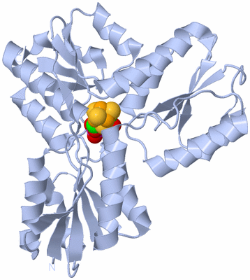 Image Biological Unit 1