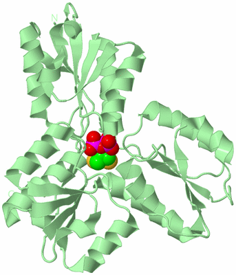 Image Biological Unit 2