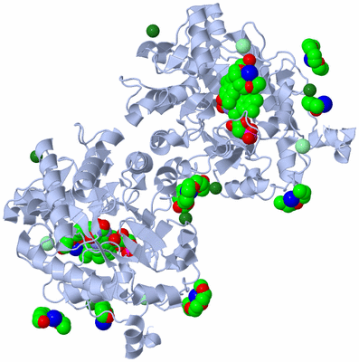 Image Biological Unit 1