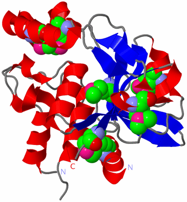 Image Asym./Biol. Unit