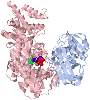 Image Asym./Biol. Unit