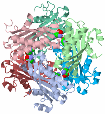 Image Biological Unit 1