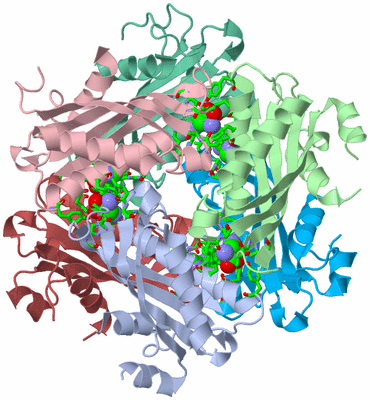 Image Biol. Unit 1 - sites