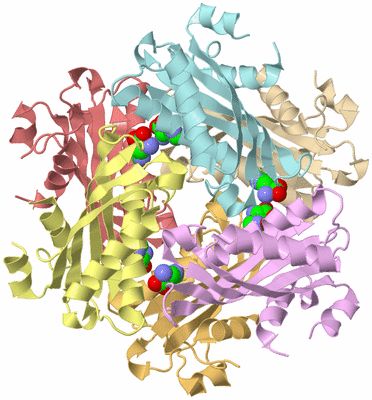 Image Biological Unit 2