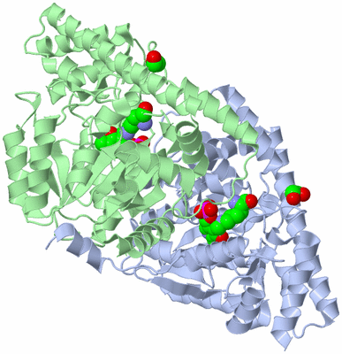 Image Asym./Biol. Unit