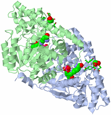 Image Asym./Biol. Unit - sites