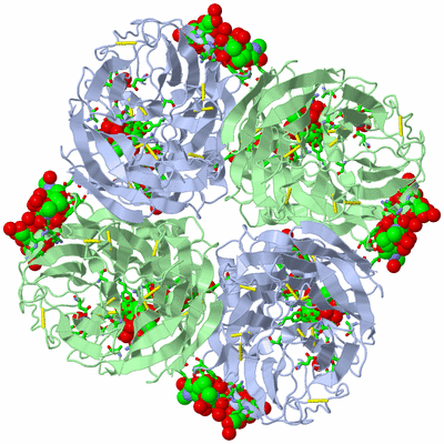 Image Biol. Unit 1 - sites