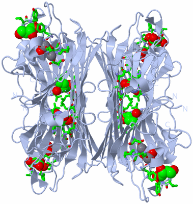 Image Biol. Unit 1 - sites