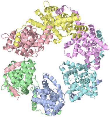 Image Asym./Biol. Unit