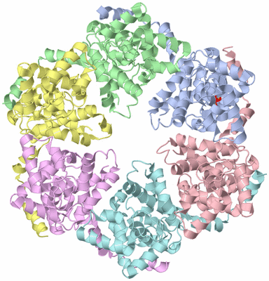 Image Asym./Biol. Unit