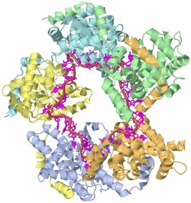 Image Biological Unit 1