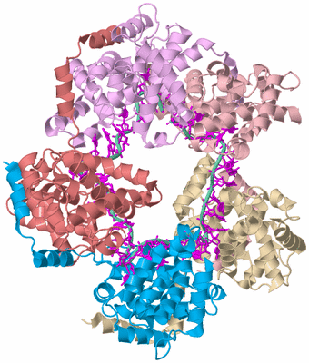 Image Biological Unit 2