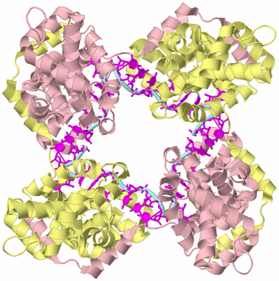 Image Biological Unit 2