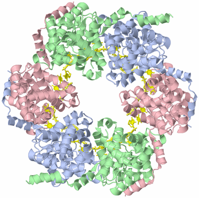 Image Biological Unit 1