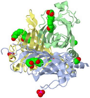 Image Biological Unit 1