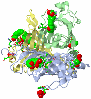 Image Biol. Unit 1 - sites