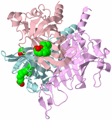 Image Biological Unit 2