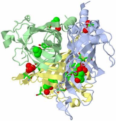 Image Biol. Unit 1 - sites