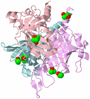 Image Biological Unit 2