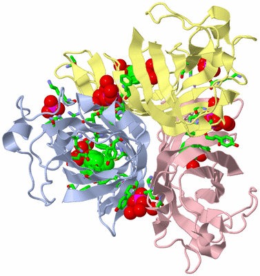 Image Biol. Unit 1 - sites