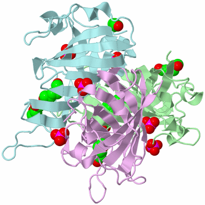 Image Biological Unit 2