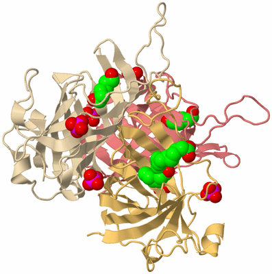 Image Biological Unit 3