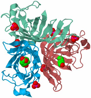 Image Biological Unit 4