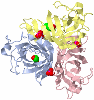 Image Biological Unit 1