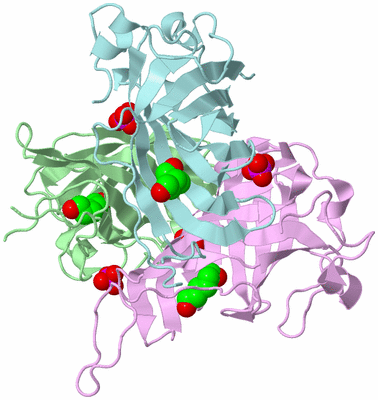 Image Biological Unit 2