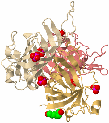 Image Biological Unit 3