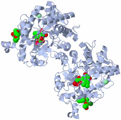 Image Biological Unit 1