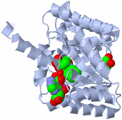 Image Biological Unit 1