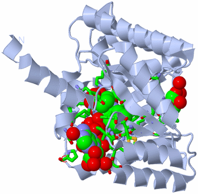 Image Biol. Unit 1 - sites