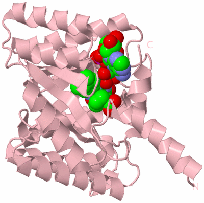 Image Biological Unit 2