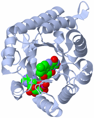 Image Biological Unit 1