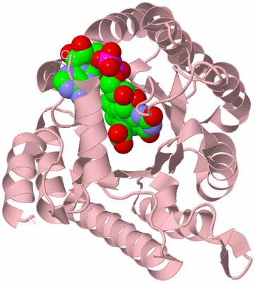 Image Biological Unit 2