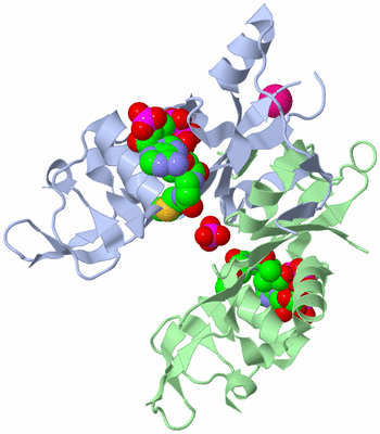 Image Asym./Biol. Unit